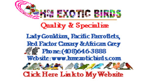 HM Exotic Birds
